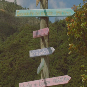 CAMP ROCK